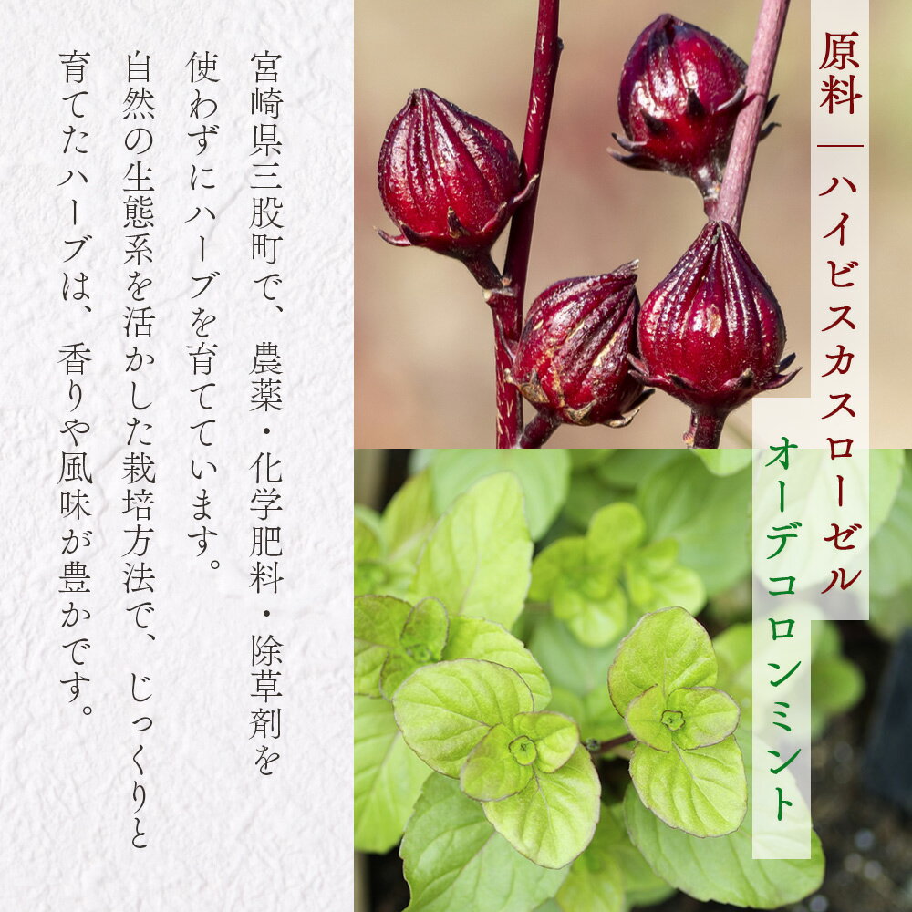 【ふるさと納税】＜ハーブティー3種セット（ローゼル・ローゼルロゼ・ミント）＞国産 ドライ ハーブハイビスカス ローゼルの実 オーデコロン ミントティー フルーティー 自然 香りや風味が豊か 美容ドリンク 健康茶 ノンカフェイン 癒し宮崎県 三股町【MI619-bi】【美香園】