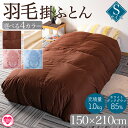 【ふるさと納税】<無地_羽毛掛ふとん ホワイトダックダウン85% フェザー15% 充填量 1.0kg> ダウン アヒル毛 寝具 ブラウン 生成 暖色 寒色 新生...
