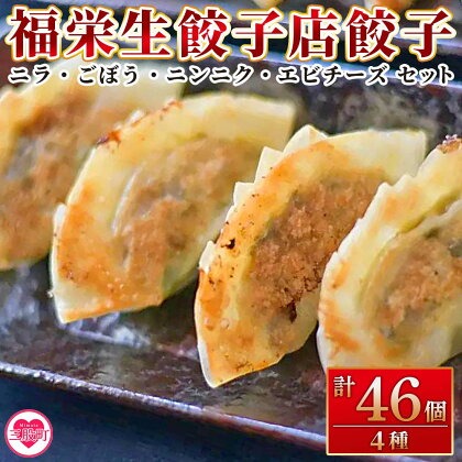 【数量限定！】＜福栄生餃子店餃子4種（ニラ・ごぼう・ニンニク・エビチーズ）セット＞ギョウザ ぎょうざ ギョーザ にら ゴボウ にんにく 大蒜 えび 海老 チーズ 食べ比べ 冷凍 惣菜 弁当 おつまみ 簡単調理【MI286-fu】【福栄生餃子店】