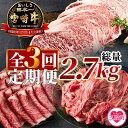 【ふるさと納税】<【定期便3回連続】宮崎牛(ステーキ、ローススライス、切り落とし)総量2.7kg>国産 牛肉 精肉 すき焼き しゃぶしゃぶ 牛丼 カレー 肉じゃが 野菜炒め 個包装 小分け お楽しみ【MI247-hr】【肉の豊楽】