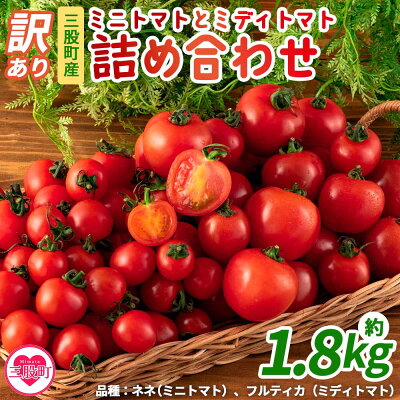 楽天ふるさと納税　【ふるさと納税】【期間・数量限定】＜【訳あり】ミニトマトとミディトマト詰合せ 1.8kg以上！＞ 簡易包装 不揃い 宮崎県三股町産 野菜 国産 とまと セット ネネ フルティカ 産地直送 リコピン【MI205-ki】【上石農園】