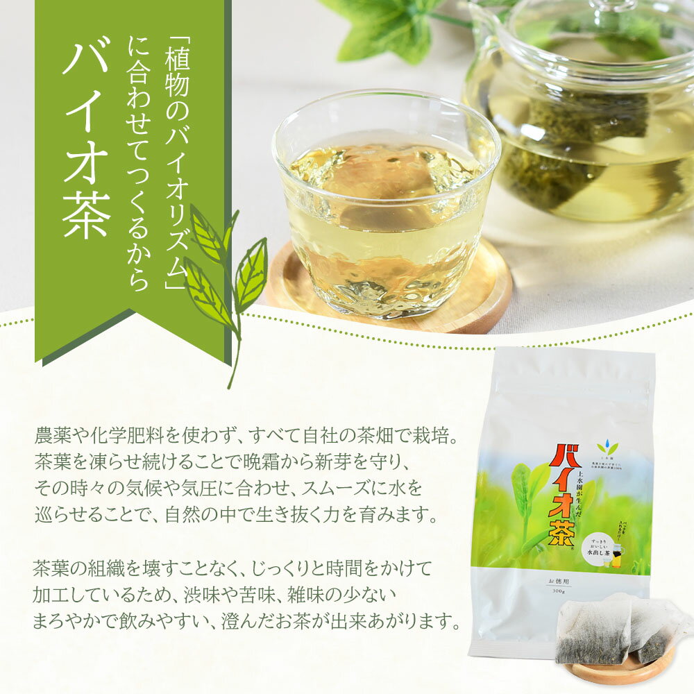 【ふるさと納税】＜バイオ茶セット(4種)＞お茶 茶葉 tea 緑茶 ほうじ茶 ブレンド茶 製茶 茶粉末 水出し アイス ティーバッグ マグボトル お手軽 小分け 飲料類 水分補給 国産 宮崎県産 九州産 スポーツ アウトドア まとめ買い お中元 敬老の日【B-0802-km】【宮崎上水園】