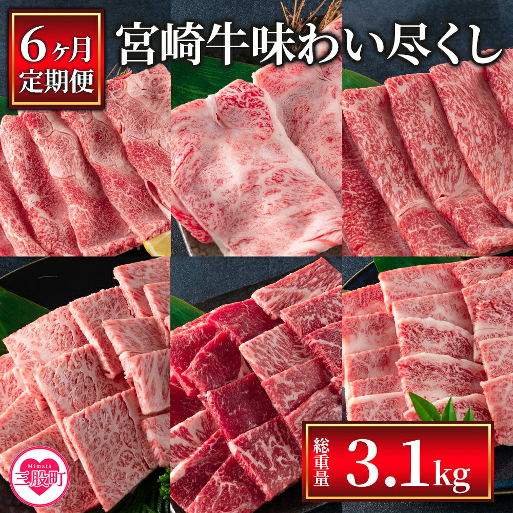 【ふるさと納税】＜【6ヶ月定期便】総重量3.1kgの宮崎牛味わい尽くし＞宮崎牛 牛モモ モモ 牛バラ バ...