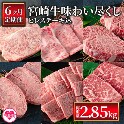 ＜【定期便6ヶ月】総重量2.85kgの宮崎牛味わい尽くし(ヒレステーキ込)＞宮崎県 国産 宮崎牛 ロースステーキ 肩ロース スライス ヒレステーキ ミスジ 肩ロース クラシタ 焼肉【MI158-my】【ミヤチク】