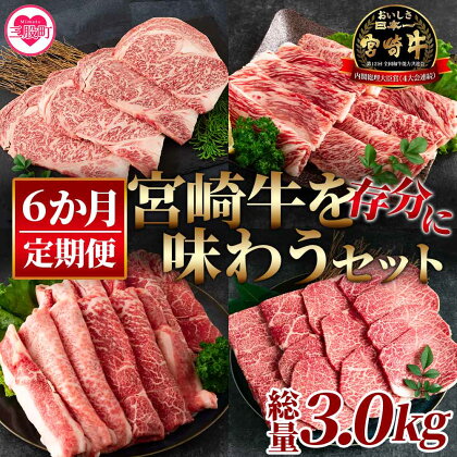 ＜【定期便6か月】宮崎牛を存分に味わうセット 総量3.0kg＞ ステーキ すき焼き 焼肉 バーベキュー BBQ 牛肉 焼き肉 宮崎県産 黒毛和牛 国産 精肉 冷凍 トレイ ブランド牛 A4/A5 キャンプ アウトドア【MI231-nh】【日本ハムマーケティング株式会社】