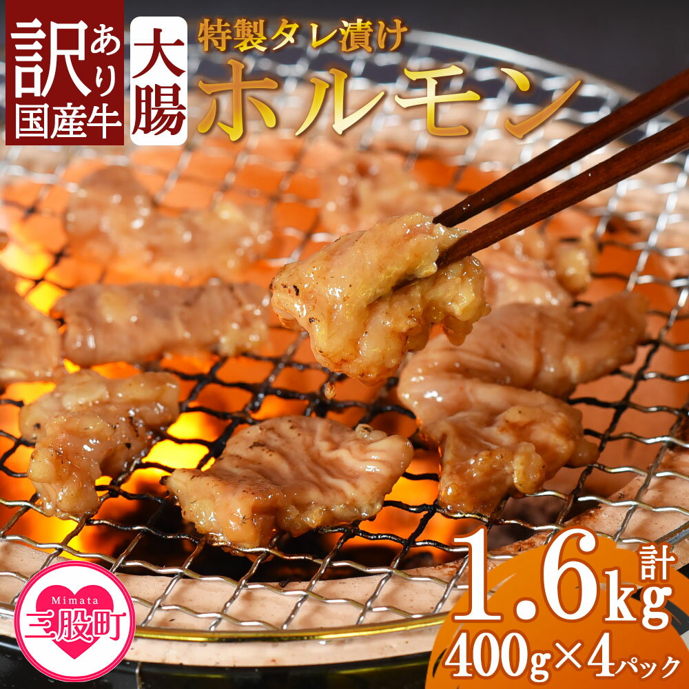 【ふるさと納税】【訳あり】＜大腸＞国産牛ホルモン(計1.6kg・400g×4P) 国産 牛肉 肉 ホルモン モツ 大腸 冷凍 焼肉 BBQ もつ鍋 煮込み 小分け 焼くだけ 簡単 タレ漬け 簡易包装【MI024】【中村食肉】