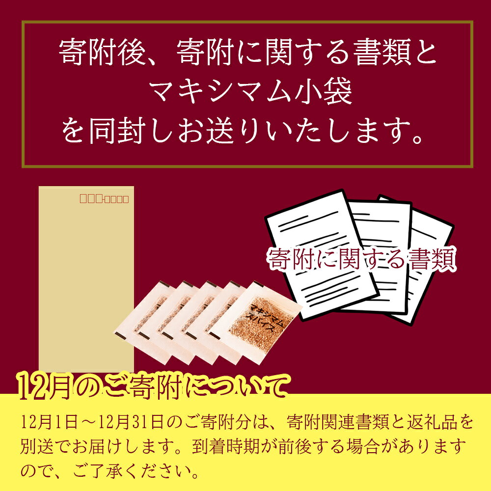 【ふるさと納税】＜マキシマムスパイス小袋10g (2g×5袋)＞ 毎月数量限定 魔法のスパイス 万能調味料 焼き肉 焼肉 調味料 胡椒 サラダ スープ 炒飯 チャーハン かけるだけ 簡単 調理 お手軽 家庭用 千円 1,000円 1000円ポッキリ お試し 少量 【MI572-nk】【中村食肉】