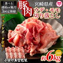 【ふるさと納税】<【定期便】全3回連続隔月 宮崎ブランドポーク切り落とし(ウデ、モモ)総量約6kg>国産 九州産 宮崎県産 豚肉 ブランドポーク 炒め 生姜焼き...
