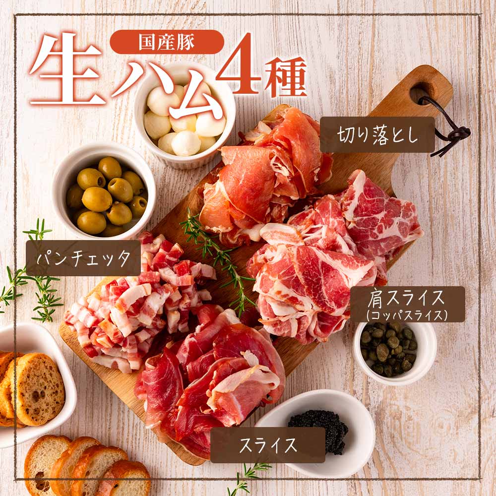 【ふるさと納税】＜国産豚生ハムバラエティー4種セット(計900g)＞ 豚肉 肉加工品 豚モモ 豚バラ 肩肉 スライス 切り落とし パンチェッタ 短冊 コッパスライス サラダ おつまみ 小分け お祝い プレゼント 贈り物 贈答 詰め合わせ【MI270-pl】【株式会社プラス】