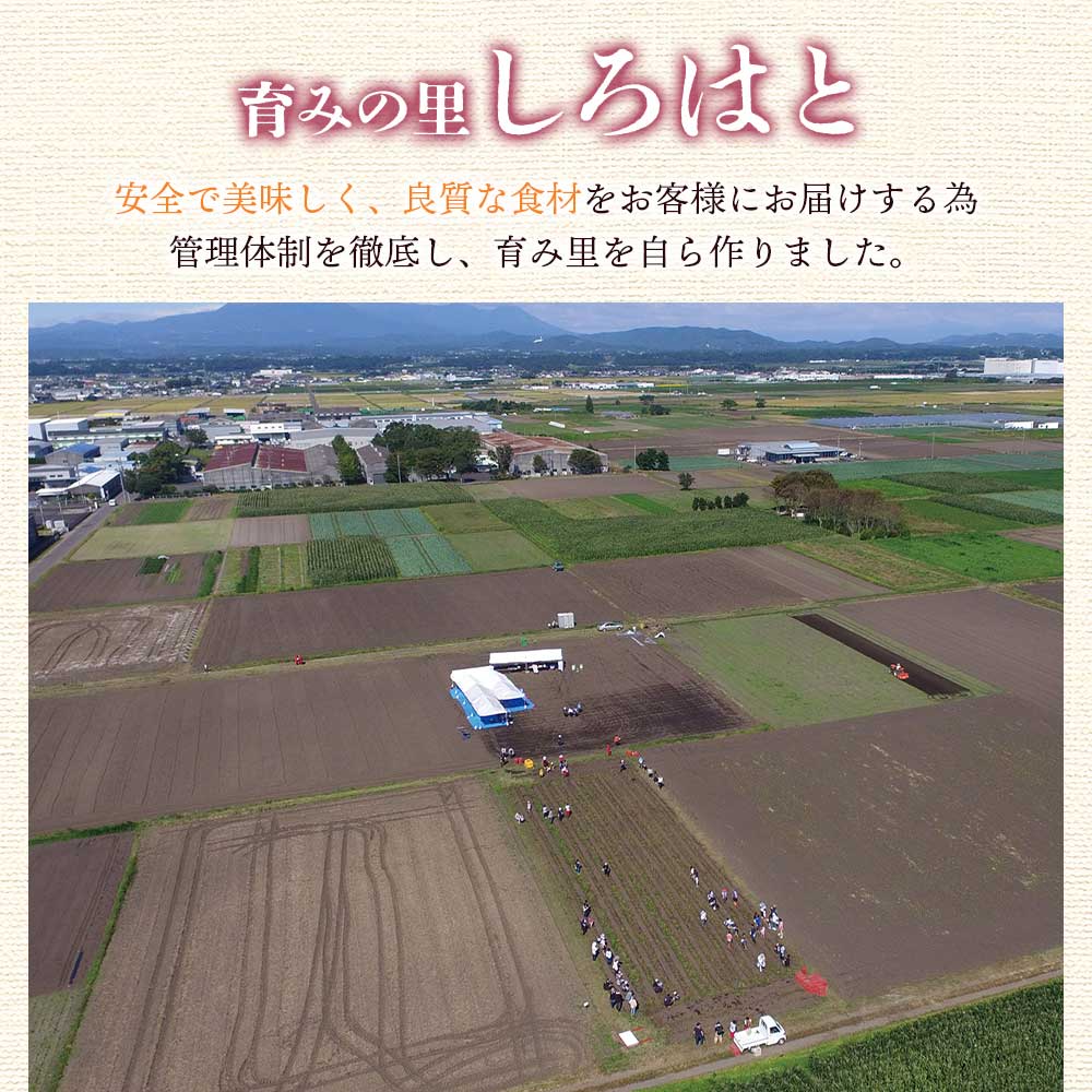 【ふるさと納税】＜【B】おいも株オーナー制度1口セット2株 霧島紅かぐら(最低2.4kg保証)+特産品＞12月中旬頃にさつまいもときんかんをお届け！サツマイモ さつま芋 権利書 チケット 甘い デザート【MI187-sh】【株式会社育みの里しろはと】