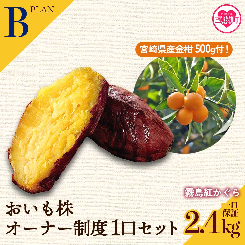 【ふるさと納税】＜【B】2024年度おいも株オーナー制度1口セット2株 霧島紅かぐら(最低2.4kg保証)+特産品＞2024年12月中旬頃に熟成されたさつまいもときんかんをお届け！サツマイモ さつま芋 権利書 チケット【MI187-sh-t-R6】【株式会社育みの里しろはと】
