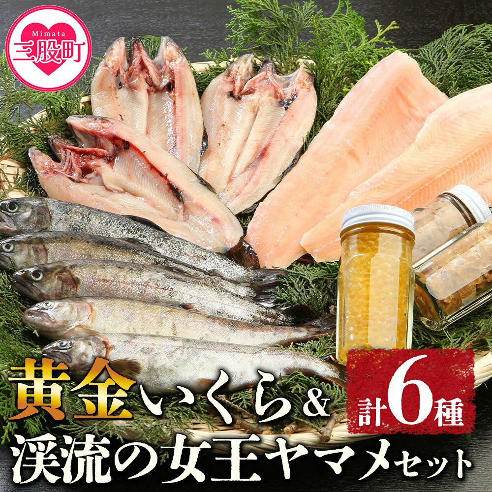 魚卵(その他)人気ランク24位　口コミ数「0件」評価「0」「【ふるさと納税】＜黄金イクラと渓流の女王ヤマメ逸品セット＞(6種)黄金イクラやヤマメなどを詰め合せ！国産 九州産 宮崎 いくら 魚卵 やまめ 一夜干し やまめ漬け フィレ うるか おかず 水産物 詰め合わせ【B-0204-sk】【有限会社しゃくなげの森】」