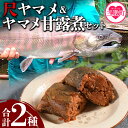 【ふるさと納税】<幻の尺ヤマメプレミアムとヤマメ甘露煮セット>(計2種)稀少な尺ヤマメと骨まで柔らかく仕上げたヤマメの甘露煮をセットに!国産 九州産 宮崎 いく...