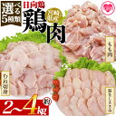 【ふるさと納税】<選べる5種類 宮崎県産 日向鶏> 国産 鶏 肉 精肉 モモ もも肉 使いやすい パック 真空冷凍 切り身 選べる数量 お弁当 惣菜 からあげ 照り焼き 数量限定 BBQ バーベキュー 鶏ムネ 鶏むね 鳥モモ ささみ ササミ 小分け 【MI441-tr】【TRINITY】