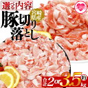 【ふるさと納税】<選べる内容 豚肉切り落とし> 国産 ぶたにく お肉 ブタ 精肉 切り落し こま 小間切れ 豚コマ 使いやすい パック 冷凍 保存 切り身 選べ...