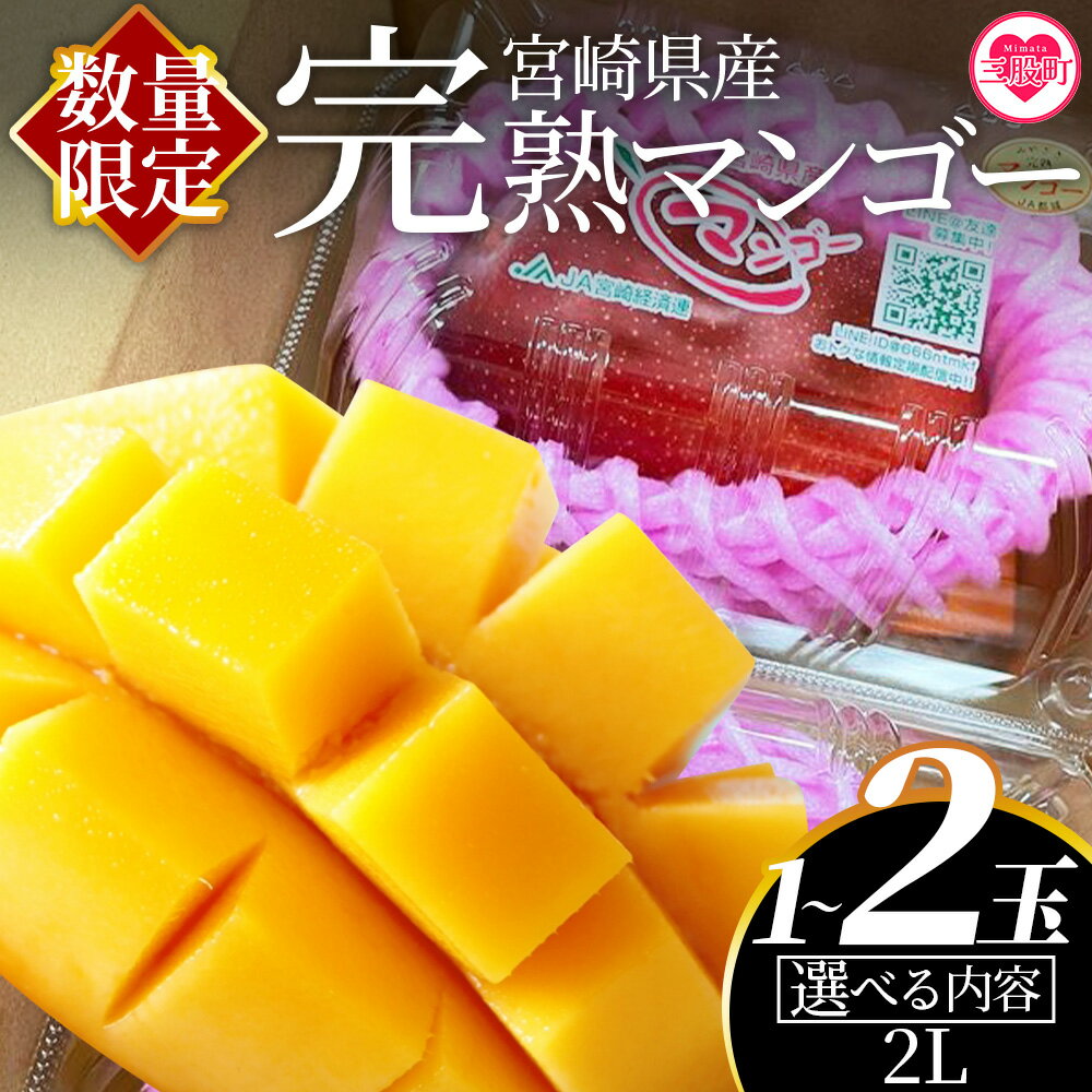 【ふるさと納税】 先行予約 期間数量限定 2025年5月発送<選べる個数 宮崎県産完熟マンゴー 2L 1〜2玉入>国産 九州 宮崎 マンゴー 完熟 旬 夏 果物 フルーツ セット 冷蔵配送 果実 ごほうび ご褒美【MI232-yk-x1】【みまたんよかもん協同組合】