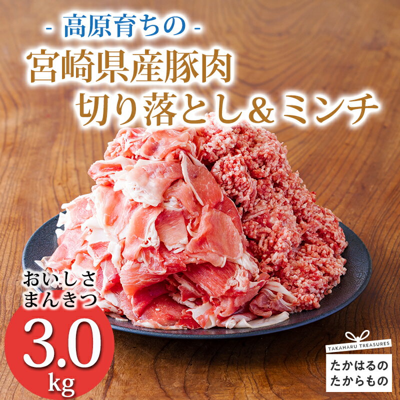 [大容量!寄付金10,000円で3kg]国産 豚肉切り落とし&豚肉ミンチ 豚肉2種詰め合わせセット合計3000g コスパ抜群と話題 アレンジ色々 お弁当 しゃぶしゃぶ ハンバーグ 肉巻き 宮崎県 高原町 日本産 送料無料 故郷納税 10000円 1万円 一万円