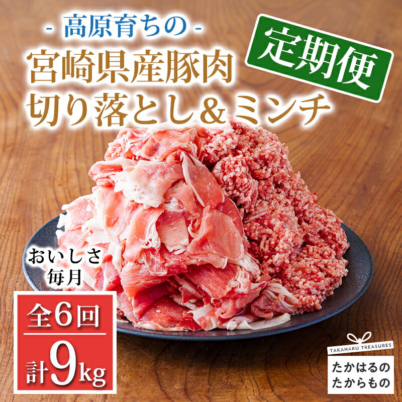 定期便6回 豚肉詰め合わせ[大容量!寄付金45,000円で合計9kg]国産 豚肉 豚肉切り落とし&ミンチ 9000g コスパ抜群と話題 お弁当 豚肉2種詰め合わせセット しゃぶしゃぶ ハンバーグ 宮崎県 高原町 日本産 6ヶ月 送料無料 故郷納税 45000円 4万円台 四万円台