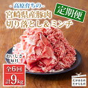 【ふるさと納税】定期便6回 豚肉詰め合わせ《大容量!寄付金45,000円で合計9kg》国産 豚肉 豚肉切り落とし&ミンチ 9000g お弁当 豚肉2種詰め合わせセット しゃぶしゃぶ ハンバーグ 宮崎県 高原町 日本産 6ヶ月 送料無料 故郷納税 45000円 4万円台 四万円台
