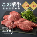 【ふるさと納税】宮崎県産特選 高原有田牧場直送 この華牛 ヒレステーキ（650g）　自然豊かな牧場育ちで、甘みのある脂はヘルシーで軽..