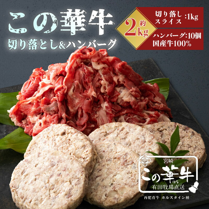 宮崎県産特選 高原有田牧場直送 切落しスライス&ハンバーグ(各1kg) 自然豊かな牧場育ちで、甘みのある脂はヘルシーで軽やか。赤身肉はコク深くてもちもち赤身部分のが味が強く幅広いメニューでお使いいただけます! 牛肉 お肉 送料無料 故郷納税 16000円