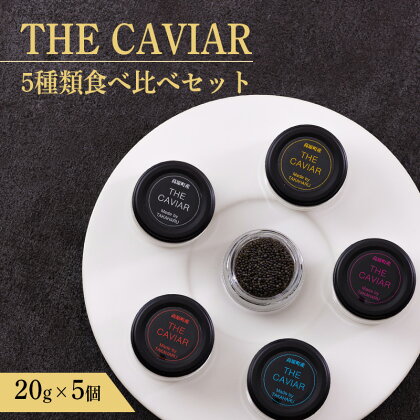 『THE・CAVIAR 5種食べ比べセット』各20g(計100g) 国産キャビア チョウザメ フランスやロシア・イタリアンなどヨーロッパの高級食材 養殖 冷凍 自社加工 国産 日本産 宮崎県 送料無料 高原町で霧島連山の地中深くから湧き出る良質な湧水育ち 故郷納税 約20万