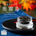 【ふるさと納税】 Takaharu Caviar（たかはるキャビア）『奥霧島 熟成』20g×5瓶セット いこいの家 キャビア バエリ 冷凍 養殖 高級 自社加工 宮崎県産 チョウザメ 送料無料 神話の町 高原町で霧島連山の地中深くから湧き出る良質な湧水育ち 故郷納税 100000円 10万