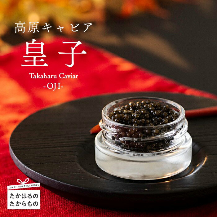 【ふるさと納税】宮崎県産特選 『Takaharu Caviar』20g（皇子）熟成 いこいの家 キャビア 冷凍 養殖 ...