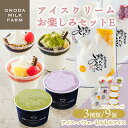 【ふるさと納税】高原アイスクリーム研究所のアイスクリームお楽しみEセット カップアイス ミニパフェ 飲むアイスの3種9個&ドリップコーヒー コンテスト2連覇 搾りたての生乳から作るスイーツ デザート チョコ 抹茶 イチゴ ブルーベリー マンゴー ミルク 送料無料 お菓子