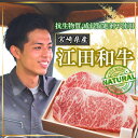【ふるさと納税】厳選 江田和牛サーロインステーキセット500g(250g×2枚) 抗生物質・成長促進剤不使用 内閣総理大臣賞受賞 贈答用 希少 国産 黒毛和牛 ...