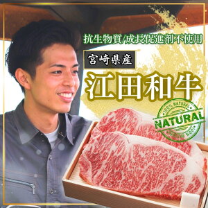 【ふるさと納税】厳選 江田和牛サーロインステーキセット500g(250g×2枚) 抗生物質・成長促進剤不使用 内閣総理大臣賞受賞 贈答用 希少 国産 黒毛和牛 冷凍 ギフト ブランド牛 A5 牛肉 お肉 送料無料 宮崎県 高原町 故郷納税 オンラインワンストップ対応 45000
