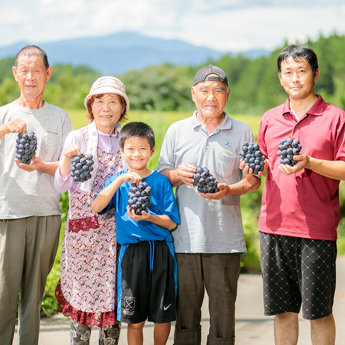 【ふるさと納税】宮崎県産特選 久保ぶどう園のニューピオーネ(約2kg) -霧島の水と太陽が育てた新鮮フルーツ- 種なし 数量限定 ※送料無料　令和4年産先行受付 再販 大人気 宮崎県高原町