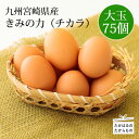 24位! 口コミ数「3件」評価「5」九州宮崎産 赤たまご『きみの力（チカラ）』Lサイズ 赤卵75個 赤玉子 大容量 コスパ・ボリューム満点卵セット 空気と水のきれいな霧島連山の･･･ 