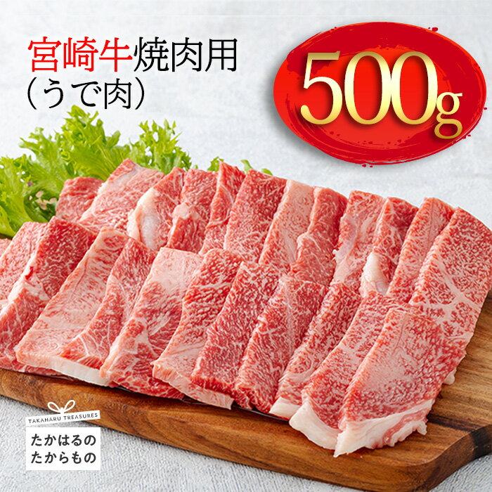 日本一美味しい「宮崎牛」の焼肉(うで肉) 約500g 霧島山の麓で育んだ和牛 ブランド牛 内閣総理大臣賞4回連続受賞 塩とワサビでシンプルに美味しい A5 A4ランク 牛肉 黒毛和牛 送料無料 宮崎県 高原町 故郷納税 10000円 1万円 オンラインワンストップ対応