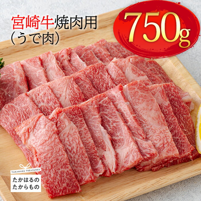 日本一美味しい「宮崎牛」の焼肉(うで肉) 約750g 霧島山の麓で育んだ和牛 ブランド牛 柔らかな食感 内閣総理大臣賞4回連続受賞 オレイン酸 塩とワサビでシンプルに美味しい A5 A4ランク 黒毛和牛 お肉 牛肉 国産 送料無料 宮崎県 高原町 故郷納税 15000円