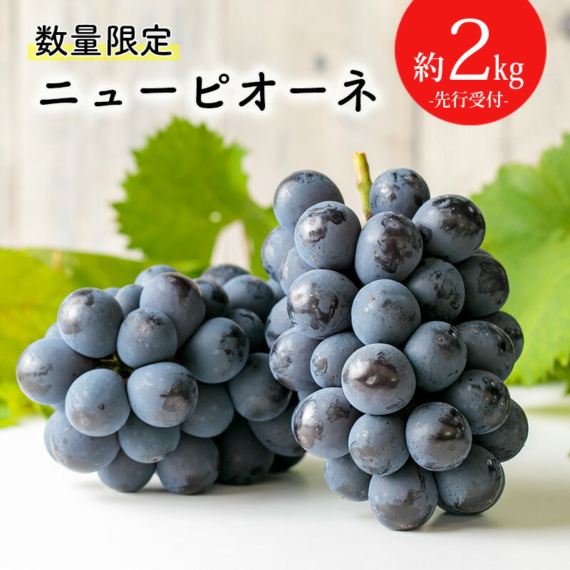 【ふるさと納税】数量限定 宮崎県