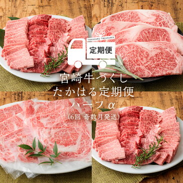 【ふるさと納税】宮崎県産特選 牛肉定期便（6回） 宮崎牛たかはる定期便ハーフα(奇数月発送) -霧島高原からの定期便- 締まりが良くきめ細やかで柔らかな食感 和牛コンテスト内閣総理大臣賞を3回連続受賞！ 2ヶ月に1度奇数月にお届け クール便で新鮮お届け ※送料無料