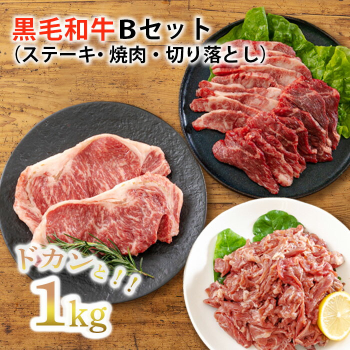 7位! 口コミ数「7件」評価「3.71」宮崎県産 『黒毛和牛ステーキ・焼肉・切り落としBセット(1kg)』 コスパ 15000円 1万円台 故郷納税 赤身肉 お肉 牛肉 国産ブラン･･･ 