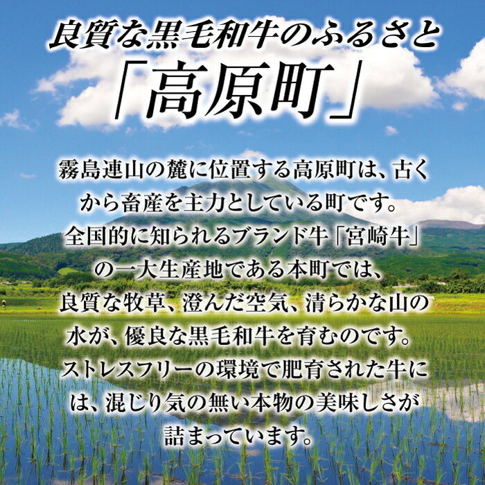 【ふるさと納税】宮崎県産 『黒毛和牛Aセット ステーキ・スライス・切り落としセット 1kg』 コスパ ボリューム 赤身肉 15000円 1万円台 故郷納税 お肉 牛肉 満足感 3種 冷凍 焼きしゃぶ すき焼きト ブランド牛 国産牛 送料無料 オンラインワンストップ対応 贈答 ギフト