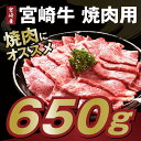 【ふるさと納税】宮崎牛焼肉用 約650g