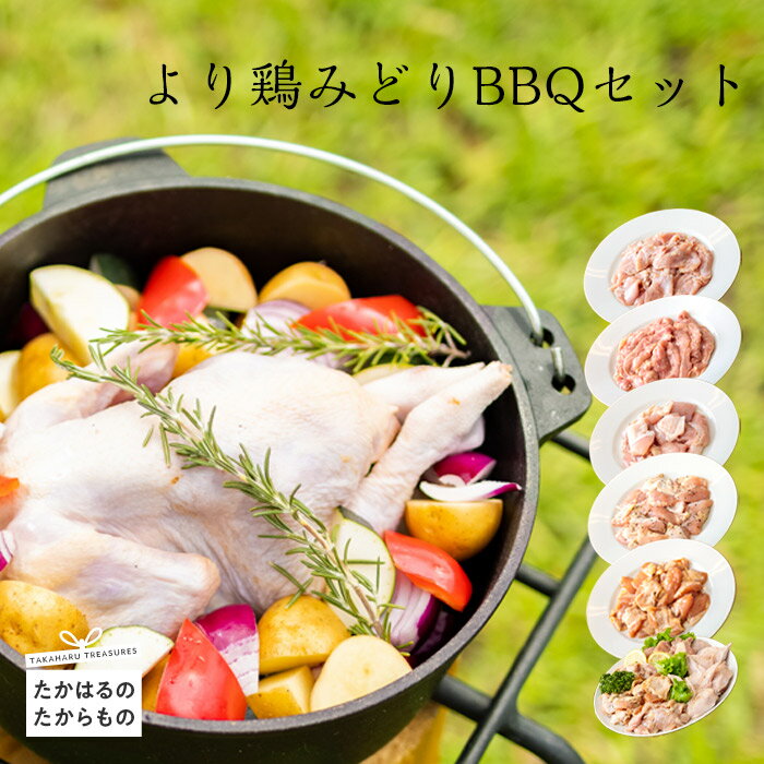 【ふるさと納税】宮崎県産特選 『より鶏みどりBBQセット』 