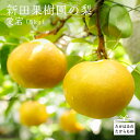 【ふるさと納税】宮崎県産特選 新田果樹園の梨 愛宕(5kg)