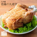 宮崎県産 特選 能勢どんの『九州産若鶏の丸焼き』こだわりの味付けをし、専用窯で3時間じっくり焼いた丸焼き 冷蔵 送料無料 門外不出、能勢家で受け継がれるこだわりの味付けが生み出す旨み！ お肉 鶏肉 故郷納税 10000円 1万円 オンラインワンストップ対応