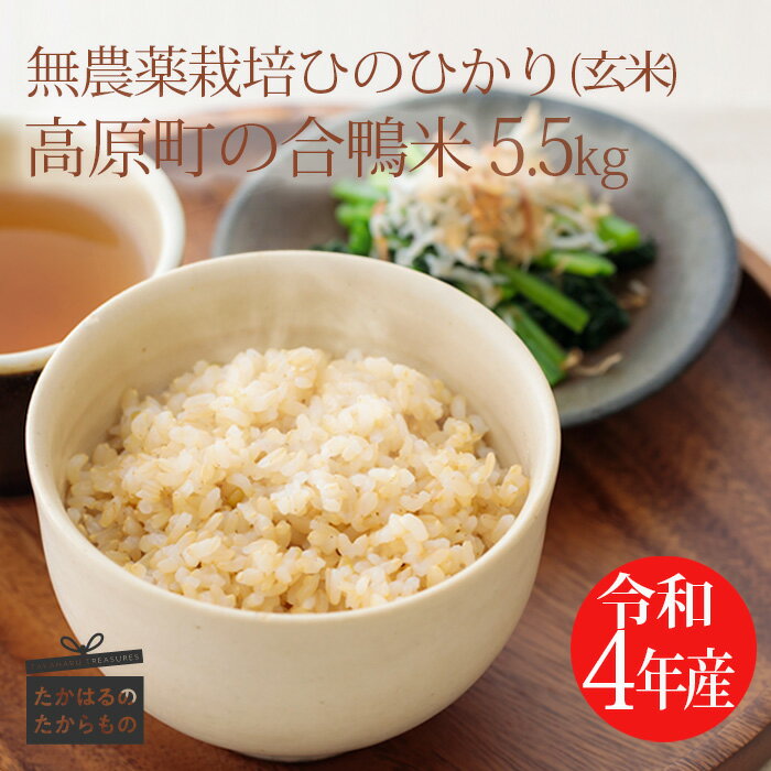 【ふるさと納税】 無農薬栽培 令和4年産 合鴨米ひのひかり 玄米 5.5kg 送料無...