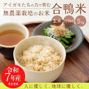 【ふるさと納税】先行受付 有機栽培 令和7年産 合鴨米ひのひかり 玄米 5kg 送料無料 深い味わい世界でも珍しい希少ミネラルを高濃度で含有の霧島山麓から湧き出る名水育ち 合鴨農法 残留農薬ゼロ 安全・安心 宮崎県産 高原町産 産地直送 節水 2025年産 20000円 故郷納税