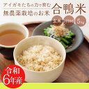 【ふるさと納税】 有機栽培 令和6年産 合鴨米ひのひかり 玄米 5kg 送料無料 深い味わい世界でも珍しい希少ミネラルを高濃度で含有の霧島山麓から湧き出る名水育ち 合鴨農法 残留農薬ゼロ 安全・安心 九州産 宮崎県産 高原町産 産地直送 節水 2024年産 20000円 故郷納税