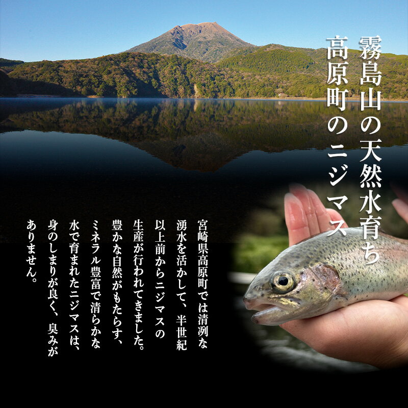 【ふるさと納税】ニジマスの干物《奥霧島の山河の恵み》国産の天然塩と魚醤で味付けた川魚の開き 虹鱒 ひもの 無添加 おつまみ 焼魚 焼き魚 和食 日本食 干し魚 時短調理 鮎の代わりに! 冷凍食品 宮崎県高原町 送料無料 故郷納税 10000円 奥霧島ドライレインボートラウト