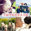 24位! 口コミ数「0件」評価「0」[返礼品なし] 犬猫等愛護活動 犬と猫と人にとって住みよい社会づくりを応援 宮崎県高原町 咲桃虎(さくもんと) いぬ ねこ 保護 支援 動物･･･ 