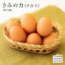 【ふるさと納税】宮崎県産特選 『きみの力（チカラ）』空気と水のきれいな神武の里たかはるで、衛生管理に万全を期した環境の中、ミネラルたっぷりのカキガラや上質な完全配合飼料ですくすく育った鶏が産む卵は甘くておいしい逸品です。 たまご 卵 ※送料無料