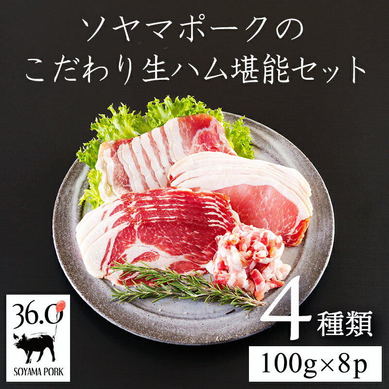 目指したのは体温で溶ける脂 ソヤマポークの生ハム堪能セット4種類 計8パック 豚肉 生ハム おつまみ ロース パンチェッタ モモ 熟成肩ロース 食べ比べ 塩分量を低めに設定 お肉本来の風味と質感 国産 宮崎県 高原町 送料無料 故郷納税 17000円 2万円以下